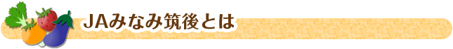 ja-minami_h1 JAみなみ筑後とは