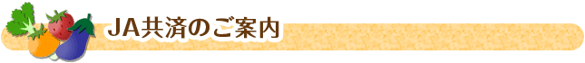 JA共済