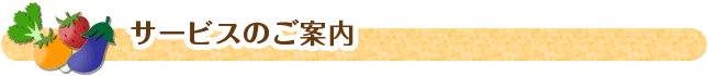 サービスのご案内