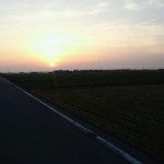 夕暮れの田んぼ