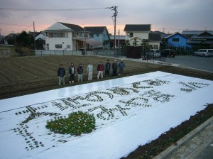 フラワーアート