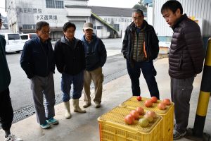 出荷規格を確認　トマト部会全体研修会