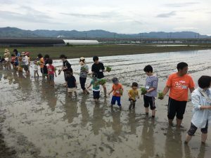 エフコープ田植え交流会