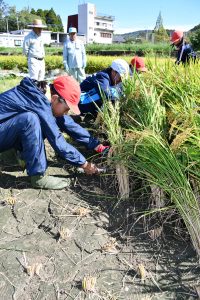 上内小学校「夢つくし」収穫体験