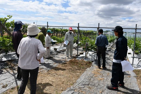 いちじく高品質生産目指す・いちじく部会現地研修会を開催しました！