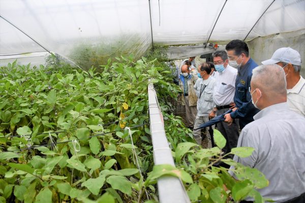 水田やナス圃場冠水で甚大な被害、議員ら視察