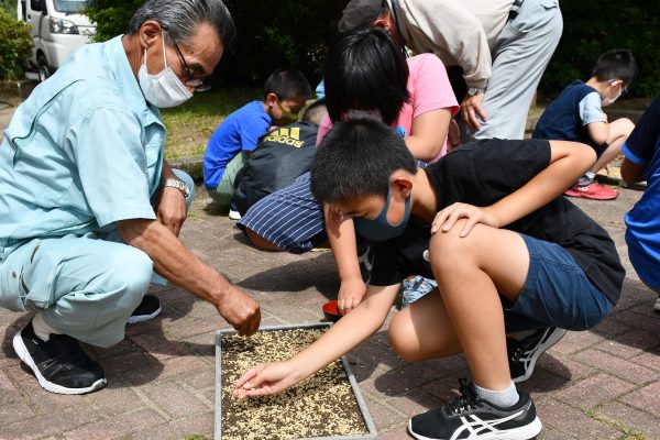 上内小学校で米作り体験が行われました！！