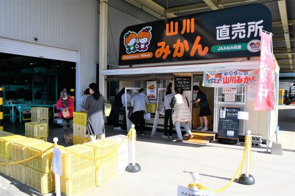 「山川みかん直売所」が令和４年９月１５日よりオープンしました！！