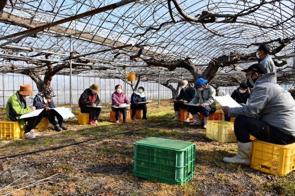 大玉果実生産目指して　/　すもも開花期管理講習会