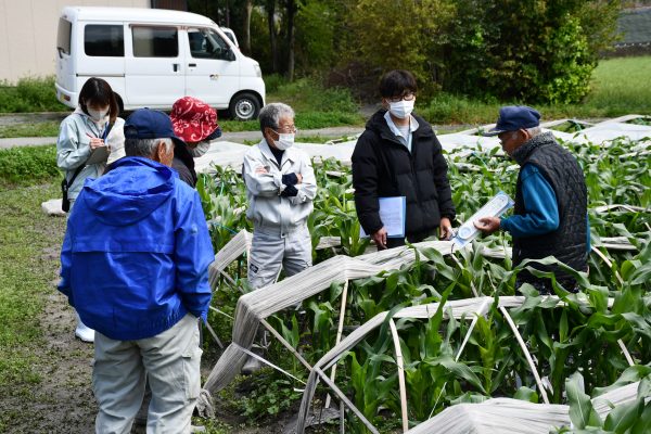 トウモロコシ部会現地研修会を開催しました！