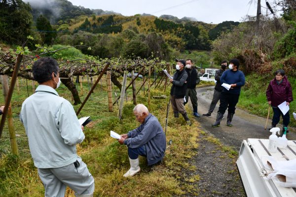 キウイ「ヘイワード」春期管理講習会を開催しました。