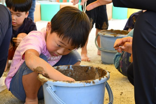 山川幼稚園　バケツ稲体験