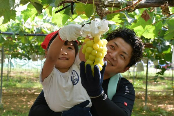 地元農業の理解を深めよう！～ぶどう収穫体験～