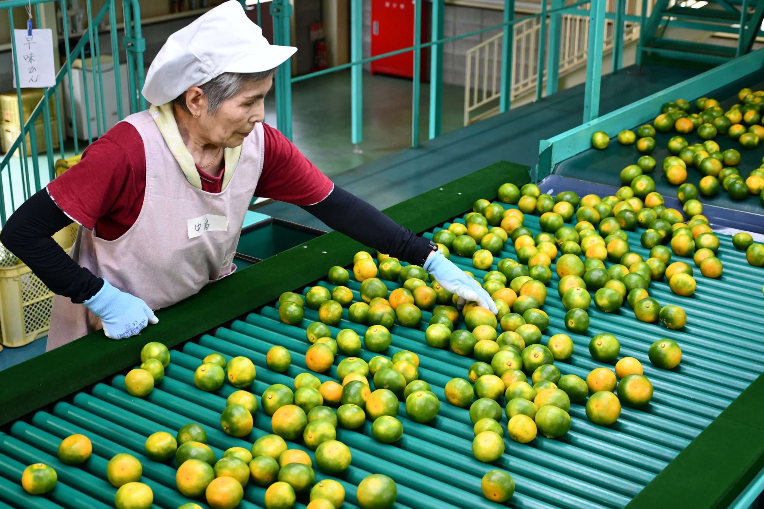 62037f688ca30f230060d67f475a70